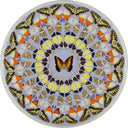 Psalm 107: Confitemini Domino, 2008 by Damien Hirst framed