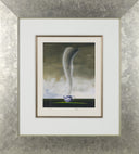 Tempest in a Teapot, 2007