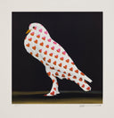 Love Bird, 2018