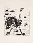 The Ostrich (Histoire Naturelle - Textes de Buffon, B.343), 1942