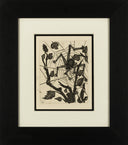 The Spider (Histoire Naturelle - Textes de Buffon, B.353), 1942
