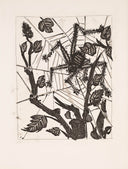 The Spider (Histoire Naturelle - Textes de Buffon, B.353), 1942