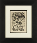 The Dragonfly (Histoire Naturelle - Textes de Buffon, B.354), 1942