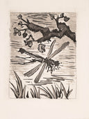 The Dragonfly (Histoire Naturelle - Textes de Buffon, B.354), 1942