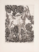 The Goat (Histoire Naturelle - Textes de Buffon, B.335), 1942