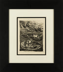 The Frog (Histoire Naturelle - Textes de Buffon, B.357), 1942