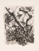 The Wasp (Histoire Naturelle - Textes de Buffon, B.351), 1942