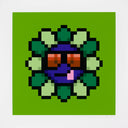 Murakami.Flower #10397 Brown Sunglasses, 2023
