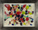 Bright Web (SF73-5), 1973