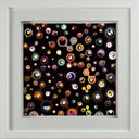 Jellyfish Eyes - Black 5, 2004