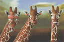 See No Evil, Hear No Evil, Speak No Evil (Giraffes), 2011