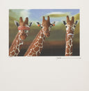 See No Evil, Hear No Evil, Speak No Evil (Giraffes), 2011
