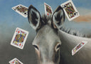 The Jack Ass (Playing Cards), 2012