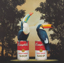 Toucans, 2012
