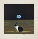 A Hare Out of Place I (Outer-Space), 2015