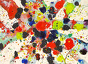 Bright Web (SF73-5), 1973