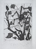 The Spider (Histoire Naturelle - Textes de Buffon, B.353), 1942