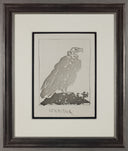 The Vulture (Histoire Naturelle - Textes de Buffon, B.341), 1942