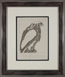 The White Eagle (Histoire Naturelle - Textes de Buffon, B.340), 1942