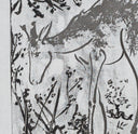 The Deer (Histoire Naturelle - Textes de Buffon, B.336), 1942