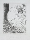 The Pigeon (Histoire Naturelle - Textes de Buffon, B.347), 1942