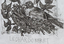 The Goldfinch (Histoire Naturelle - Textes de Buffon, B.348 ), 1942