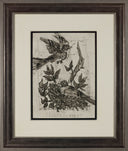 The Goldfinch (Histoire Naturelle - Textes de Buffon, B.348 ), 1942
