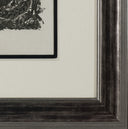 The Lizard (Histoire Naturelle - Textes de Buffon, B.355), 1942