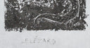 The Lizard (Histoire Naturelle - Textes de Buffon, B.355), 1942