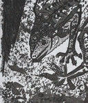 The Lizard (Histoire Naturelle - Textes de Buffon, B.355), 1942