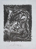 The Lizard (Histoire Naturelle - Textes de Buffon, B.355), 1942