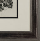 The Wasp (Histoire Naturelle - Textes de Buffon, B.351), 1942