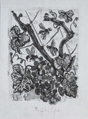 The Wasp (Histoire Naturelle - Textes de Buffon, B.351), 1942