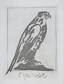The Sparrow Hawk (Histoire Naturelle - Textes de Buffon, B.342), 1942
