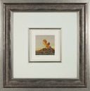 Orange Shell, 1992-1995