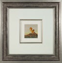 Orange Shell, 1992-1995