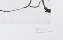 The Embrace (347 Series, B.1116), 1963