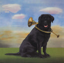 Horn Dog, 2011