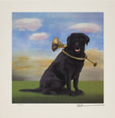 Horn Dog, 2011