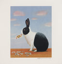 Jack Rabbit, 2012