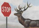 The Buck Stops Here (Deer at Stop Sign), 2012