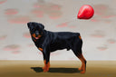 Balloon Dog III (Rottweiler), 2021 by Robert Deyber