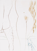 Le Diable en Enfer, 1972 (Le Decameron, Plate C) by Salvador Dalí detail 1