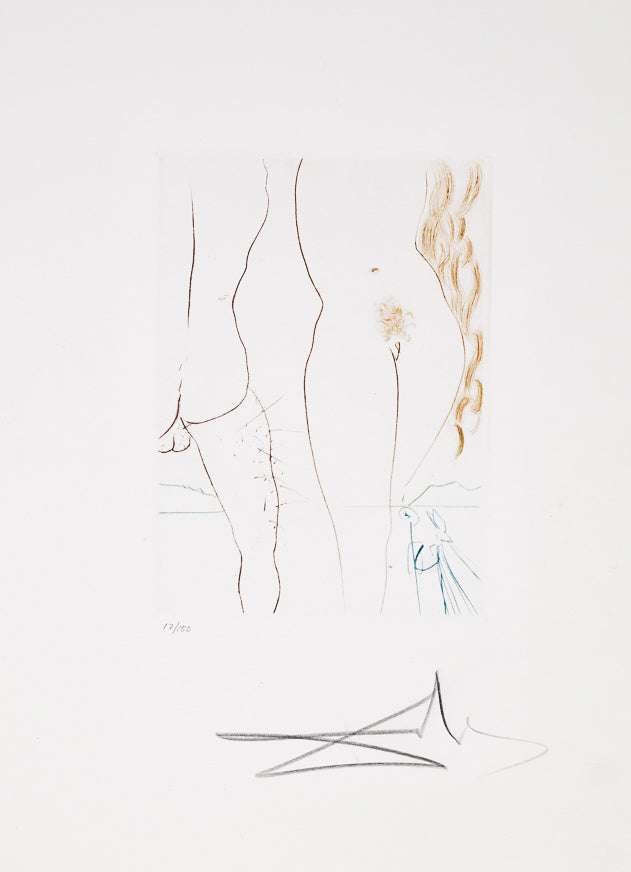 Le Diable en Enfer, 1972 (Le Decameron, Plate C) by Salvador Dalí