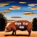 Pig Latin III (I Think Therefore I Am), 2015