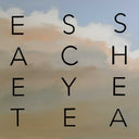 SHIT (Dirty Words), 2016