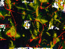Untitled (SFP94-36), 1994 by Sam Francis detail 2