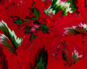 Habitat Floriography (Deep Red) by Robert Standish detail 2