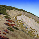 The Wings of Gaia, 2000