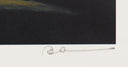 Egg Drop Soup, 2009